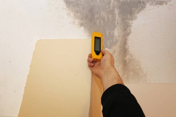 Best Mold Remediation for Healthcare Facilities  in Teaticket, MA
