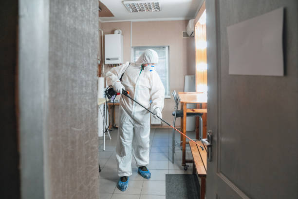 Best HVAC Mold Inspection and Cleaning  in Teaticket, MA