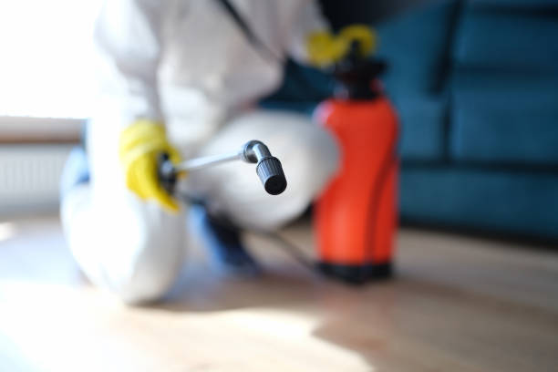 Best Indoor Air Quality Assessment  in Teaticket, MA